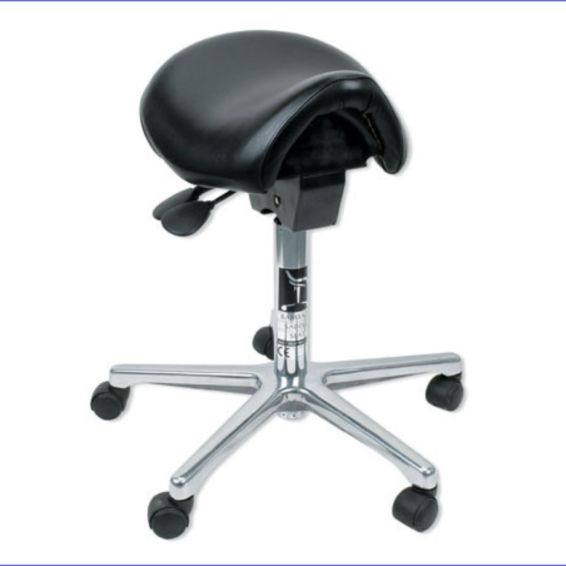 Hager&Werken Bambach®Sattelsitz Cutaway Dental Depot