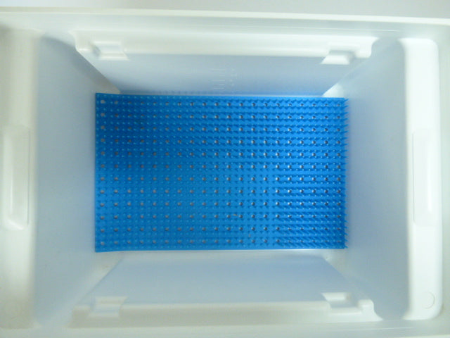 Desinfektionswanne 3L für Instrumentendesinfektion